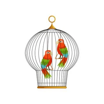 Two beautiful long-tailed macaws ara in metallic round cell. Tropical birds with Stock Illustration