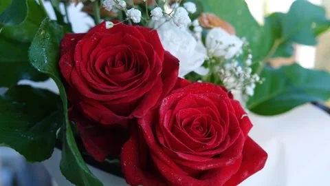 Two beautiful roses fluttering in the wind. Bouquet of flowers and green leaves Stock Footage 252611569