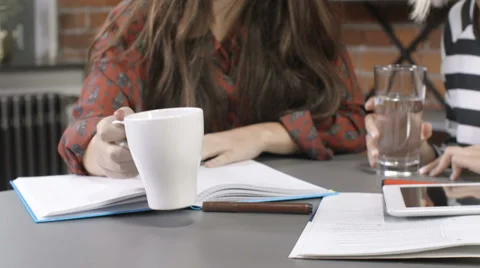 Two beautiful young girls studying at modern loft apartment. Stock Footage