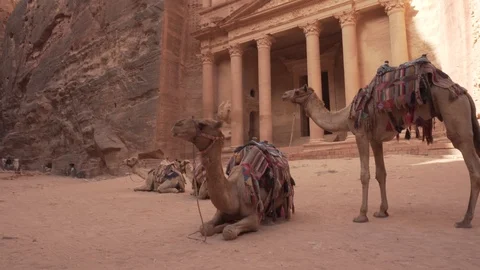 Two bedouin camels Stock Footage 125848117