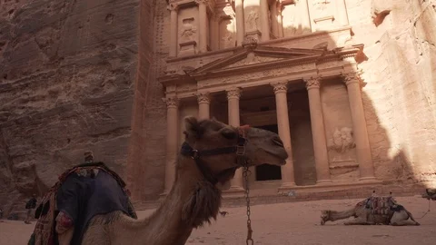 Two bedouin camels Stock Footage 125848145