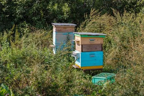 Two bee hives Stock Photos