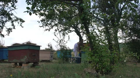 Two beekeeper working with hives in the apiary 스톡 동영상 68732205