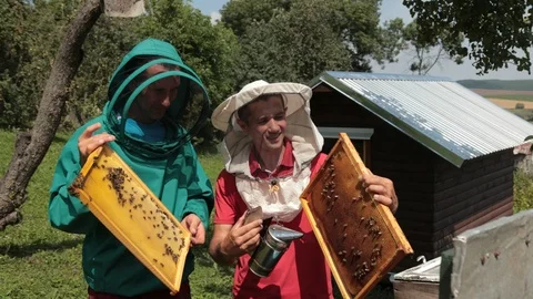 Two beekeepers in green and red special attire, collecting honey Stock-Footage 116045175