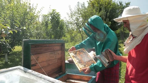 Two beekeepers in green and red special attire, collecting honey Stock Footage 116045540