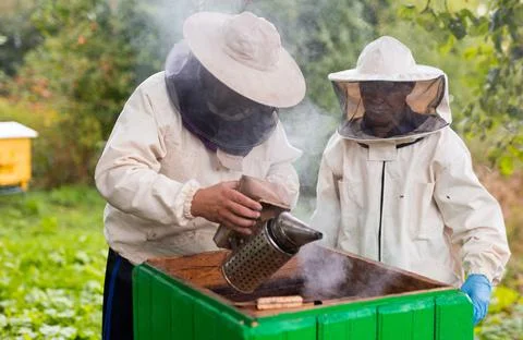 Two beekeepers in protective suits of outerwear open the hive Stock Photos