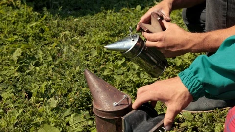 Two beekeepers in special clothes hold a censer to calm the bees Stock Footage 116044072
