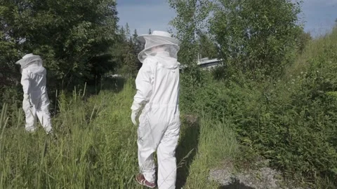 Two beekeepers in white suits walk to an apiary Stock Footage 341288659