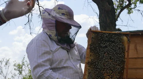 Two beekeepers at work. Summer time 4K 스톡 동영상 68731062