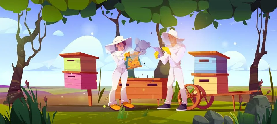 Two beekeepers working at bee farm Stock Illustration