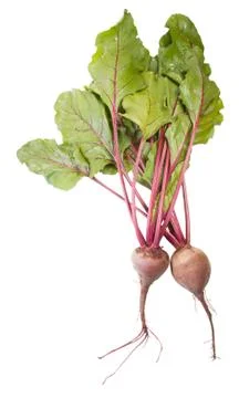 Two beet roots Stock Photos