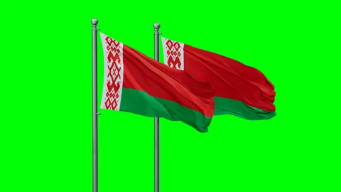 Two Belarus flags Stock Footage 292795133