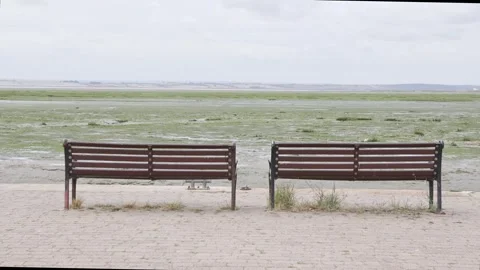 Two benches Stock Footage 344423142