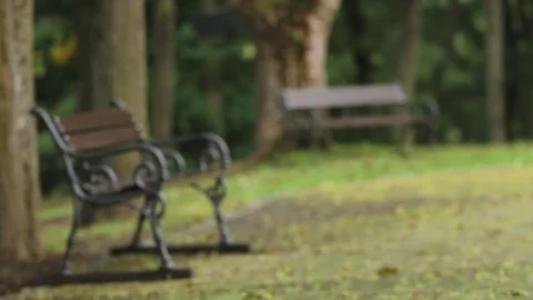 Two benches in the park 動画素材 71675361