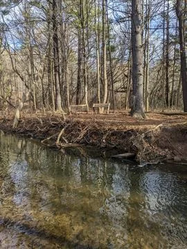 Two benches sit on the edge of a forested creek Foto stock