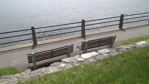 Two benches sitting beside Dows Lake in downtown Ottawa, Canada. Stock Footage 108055576