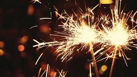 Two Bengalese candle Studio hd footage Stock Footage 95673717