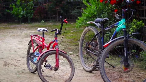 Two bicycles parked beside a flowering garden on a rural village pathway Видео 339760820