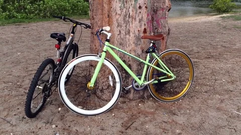 Two bicycles parked under a tree by a lake Stock Footage 78079252