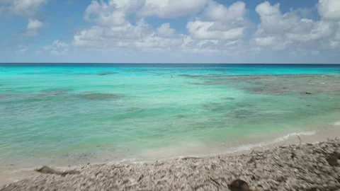 Two bicycles resting under trees on a tropical beach in rangiroa Stock Footage 297302010