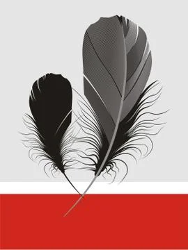 Two big black feathers on gray and red background Stock Illustration