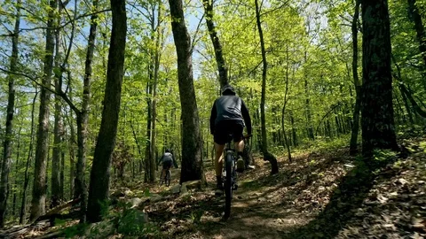 Two Bikers Weave Through Trees on Forest Trail Stock Footage 95943506