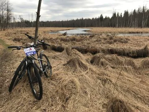 Two bikes and river Stock Photos
