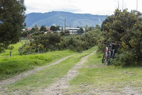 Two bikes lying down to a trees and near to a sand path Stock-Fotos