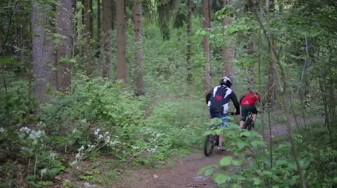 Two bikes speeding through forest 库存影片 39352349