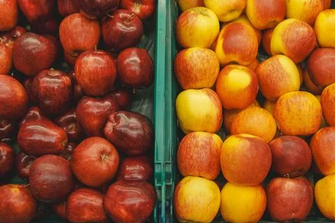Two bins of apples, one red and one yellow. The apples are fresh and ripe, .. 스톡 사진