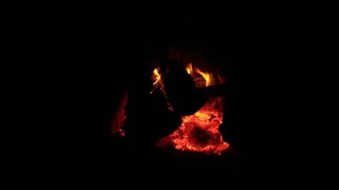 Two birch logs burn out in the fireplace Stock Footage 169649801