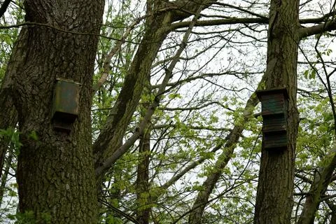 Two bird boxes Stock Photos