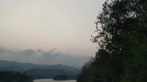 Two bird flying over the tree Stock Footage 277967418