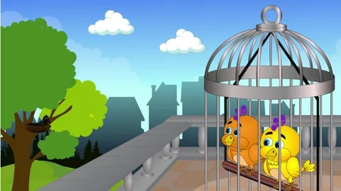 Two birds are sitting in a cage Stock Footage 303633901