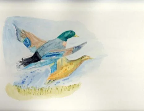 Two birds Stock Illustration