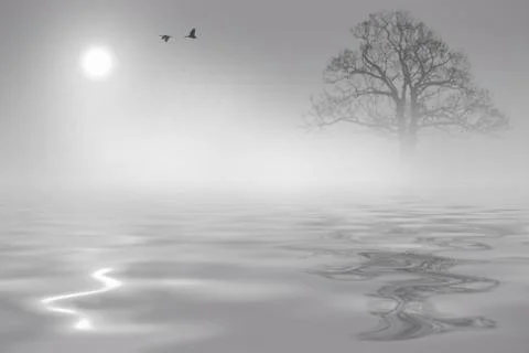 Two birds into mist Stock Photos