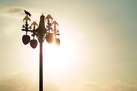 Two birds perched on a light pole on a cloudy evening sky. Stock Photos