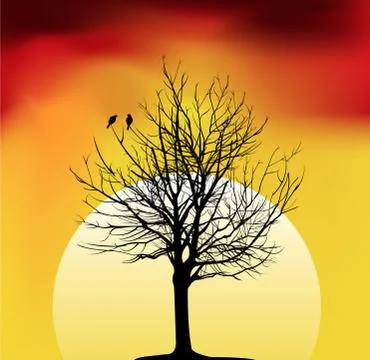 Two birds on a tree in sunset Stock Illustration