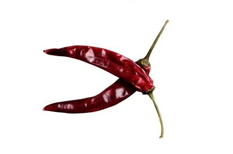 Two bitter peppers Stock Photos