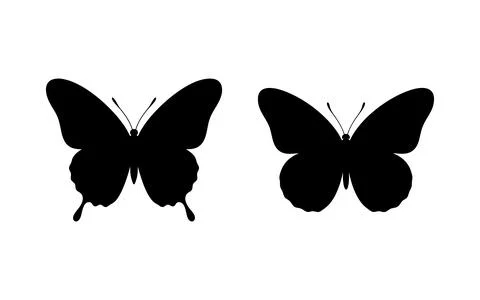 Two Black Butterfly Silhouettes  Vector Art for Nature, Wings, and Design イラスト素材