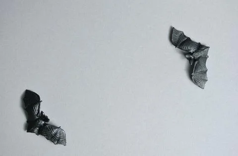 Two black decorative bats on a light gray background. Halloween. Foto stock