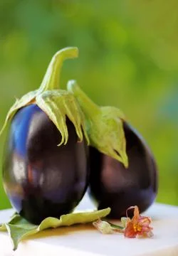 Two black eggplants on table,green background Foto stock