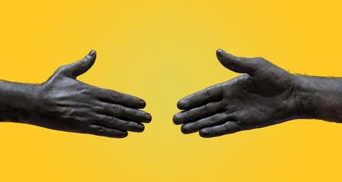 Two black hands shaking gesture diversity concept Stock Photos
