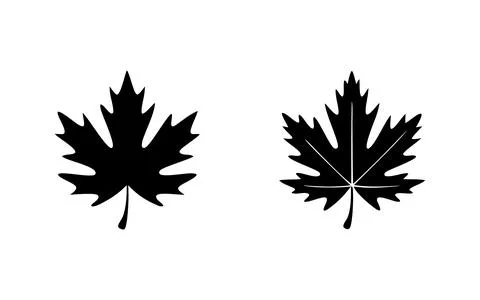 Two Black Maple Leaf Silhouettes Nature Autumn Fall Design Icons Vector Illustration