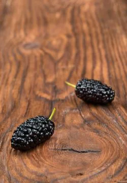 Two black mulberry Stock Photos
