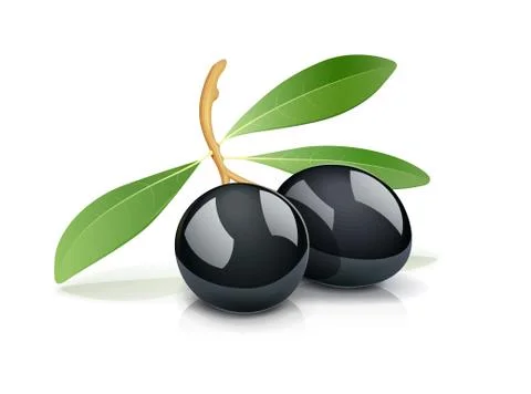 Two black olive with leaf Stock Illustration