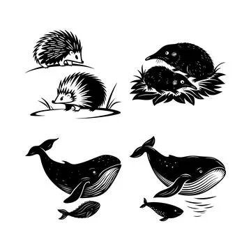 Two black stylized hedgehogs with spiky fur on white background with grass .. Stock Illustration