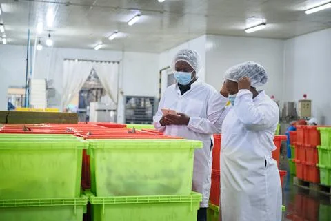 Two Black supervisors examine fresh raw fish stock in sterile food factory. Stock Photos