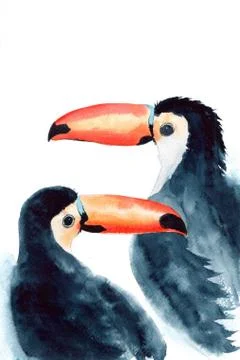 Two black toucans Stock Illustration