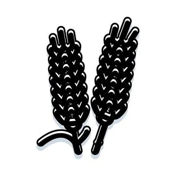 Two black wheat ears on white background Illustrazione stock